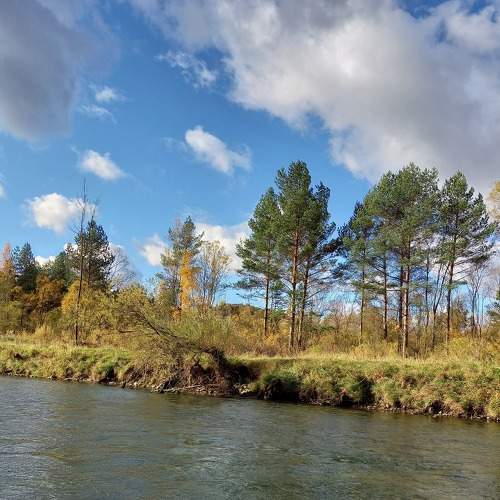Photo #6687176