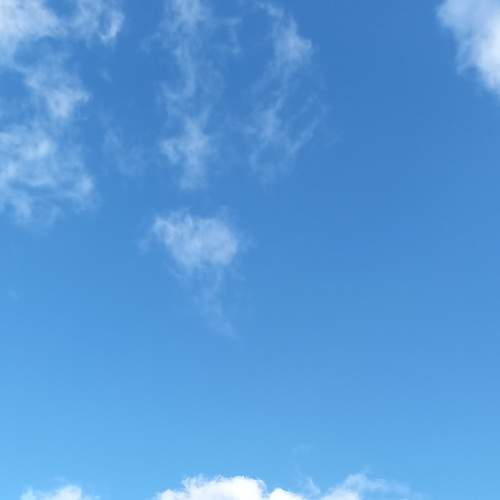 Photo #6687186