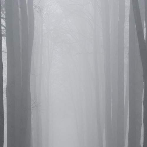 Photo #6687444