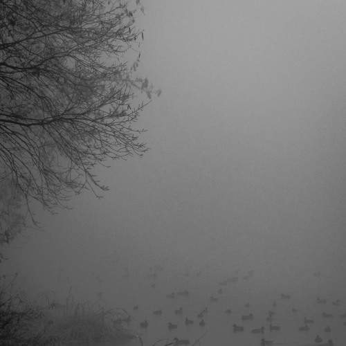 Photo #6687445