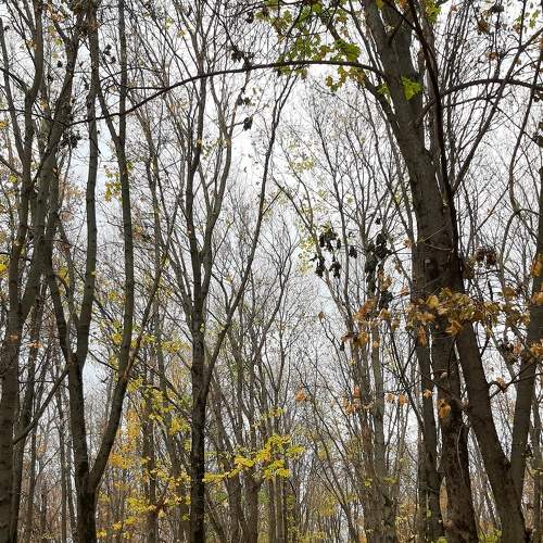 Photo #6687548