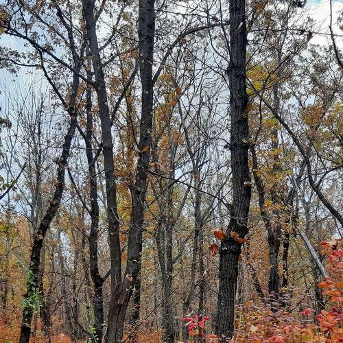 Photo #6687551