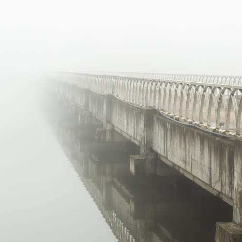 Photo #6687681