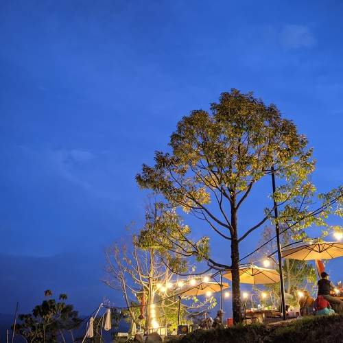 Photo #6687990