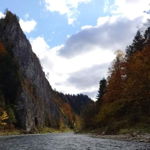 Photo #6688049