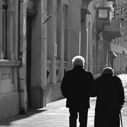 Photo #6688050