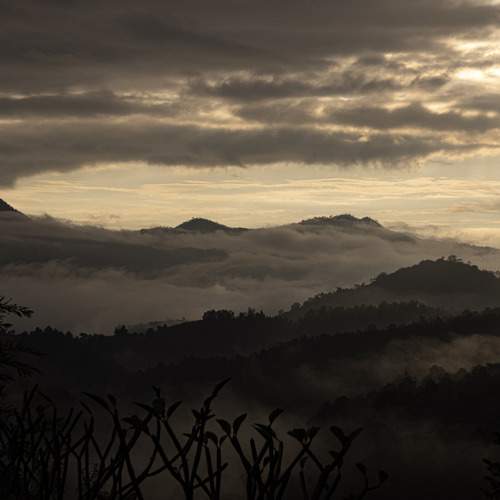 Photo #6688073