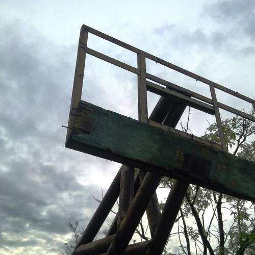 Photo #6688085