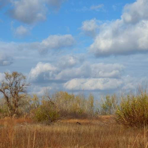 Photo #6688108