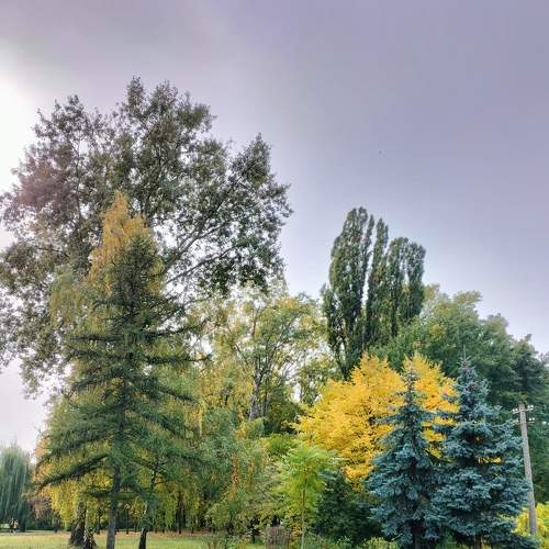 Photo #6688243
