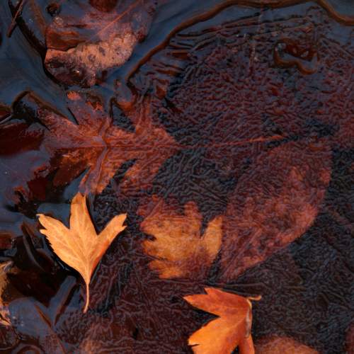 Photo #6688480
