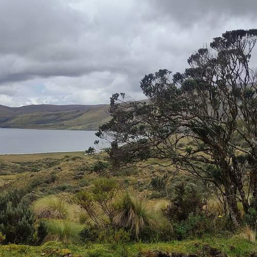 Photo #6688561