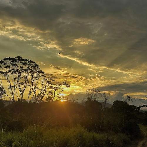 Photo #6688562
