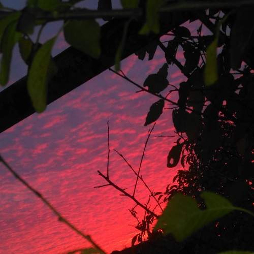 Photo #6688681