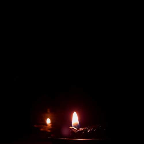 Photo #6688691