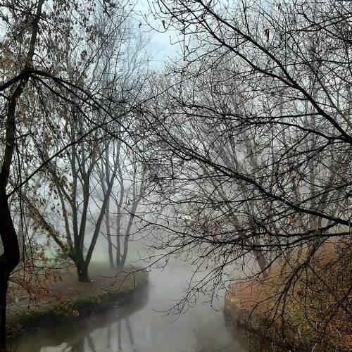 Photo #6688737