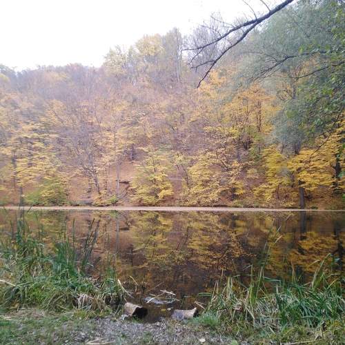 Photo #6688792
