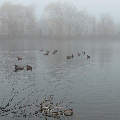 Photo #6688815
