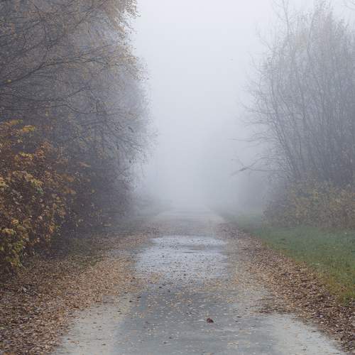 Photo #6688894