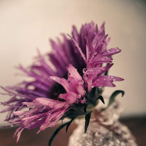 Photo #6689018