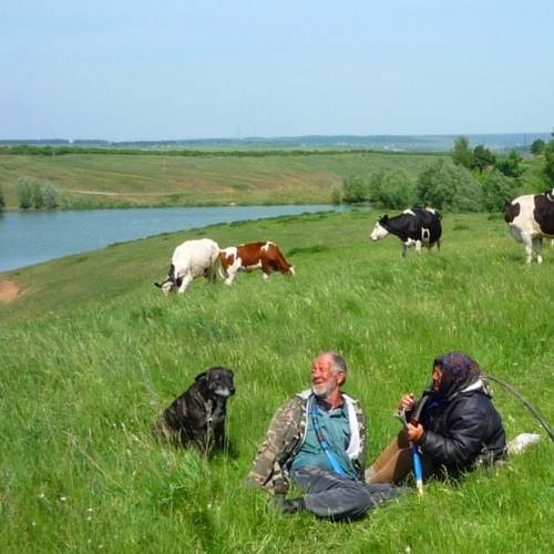 Photo #6689369