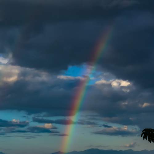 Photo #6689703