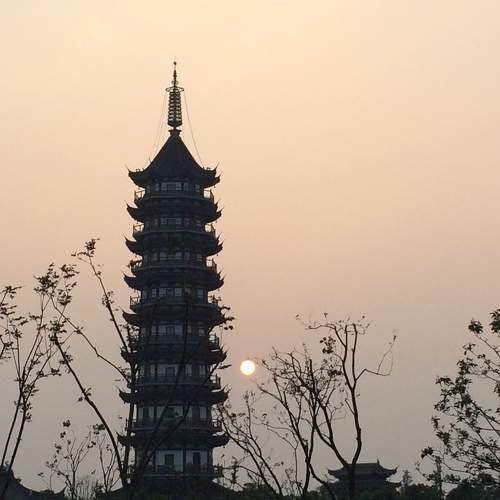 Photo #6689977