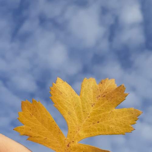 Photo #6690027