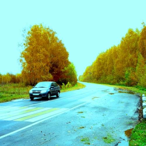 Photo #6690104