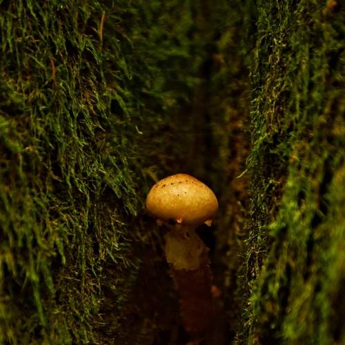 Photo #6690159