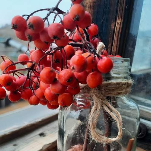 Photo #6690196