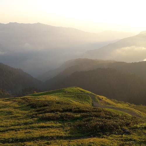 Photo #6690233
