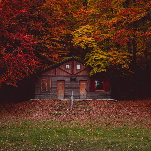 Photo #6690332