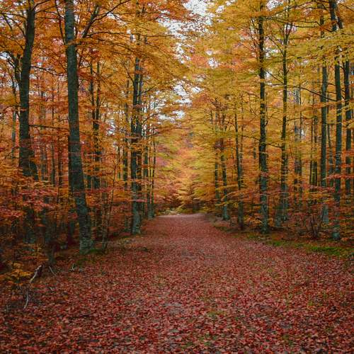 Photo #6690339