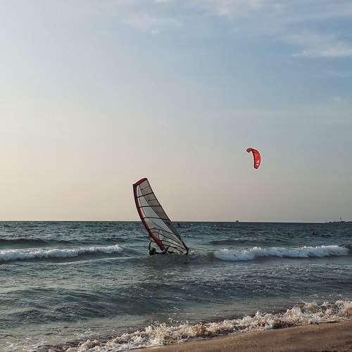 Photo #6690592