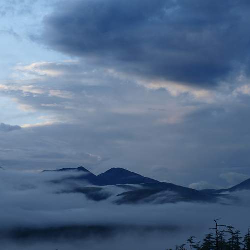 Photo #6690605