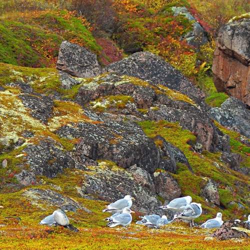 Photo #6690698
