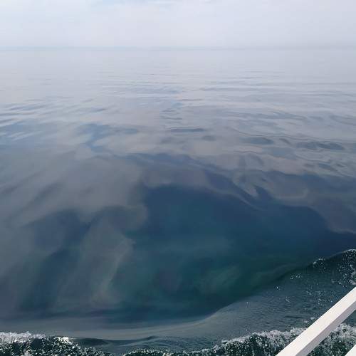Photo #6690719
