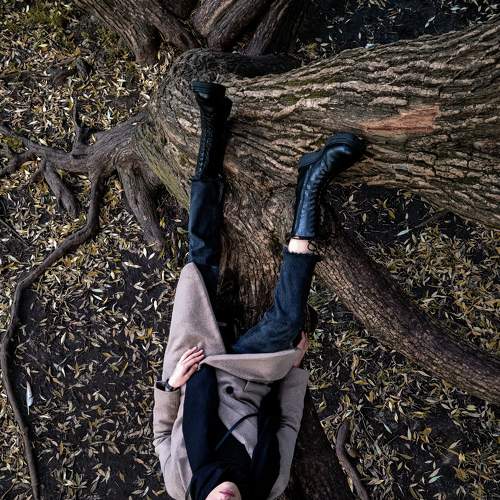 Photo #6691089