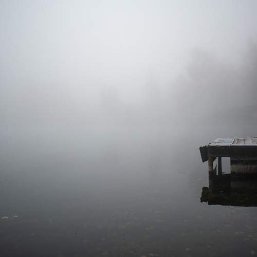 Photo #6691114