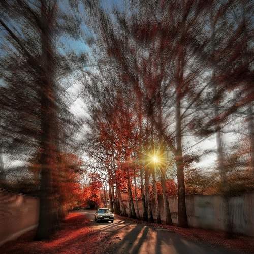 Autumn colors