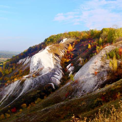 Photo #6691649