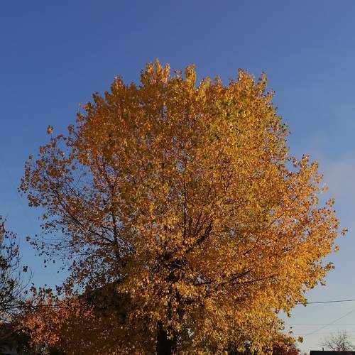 Photo #6692144