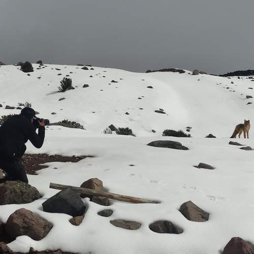 Photo #6692342