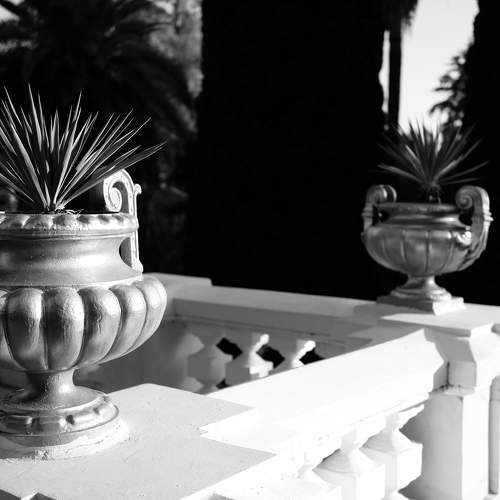 Photo #6692404