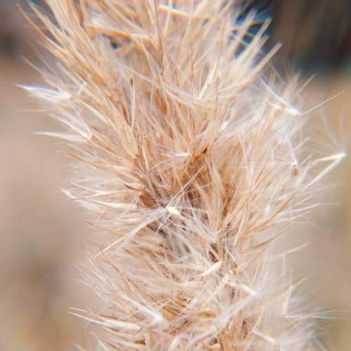 Photo #6692444
