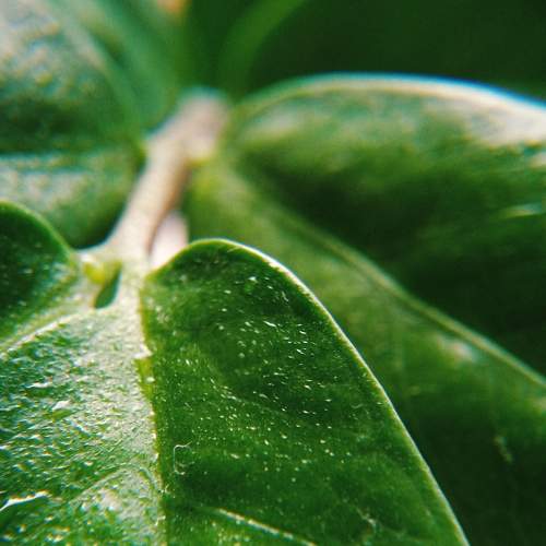Photo #6692466