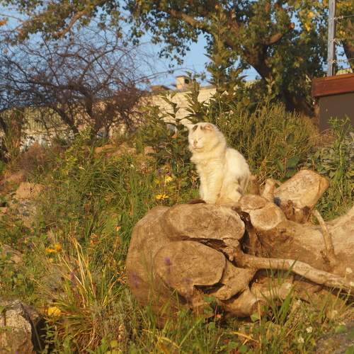 Photo #6692612