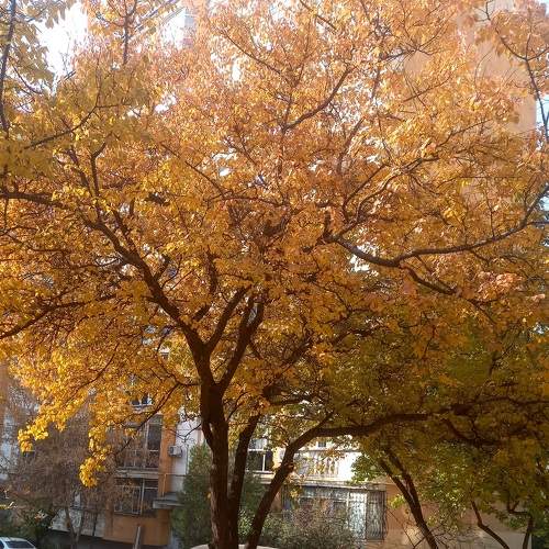 Photo #6692850