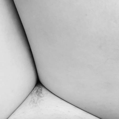 Photo #6692918
